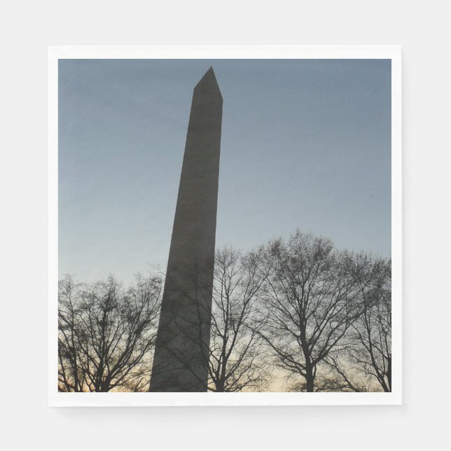 Washington Monument in Winter II Landscape Napkin (Front)