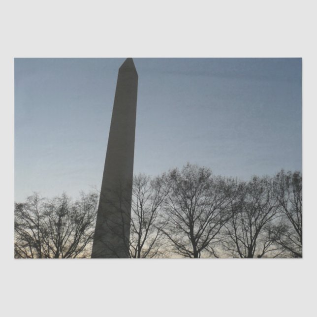 Washington Monument in Winter II Landscape Tissue Paper (Front)