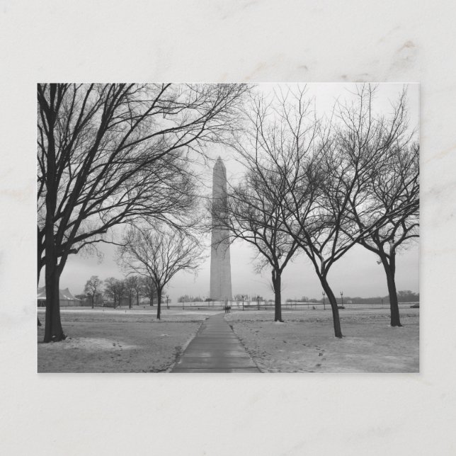 Washington Monument Postcard (Front)