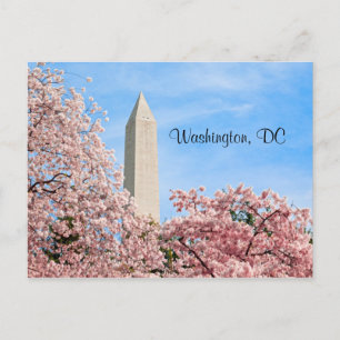 Washington Monument Postcard