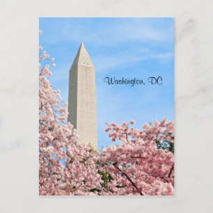 Washington Monument Postcard