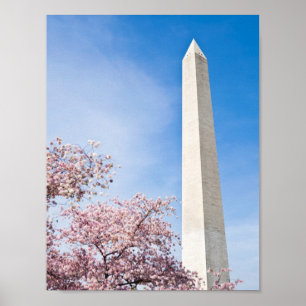 Washington Monument Poster