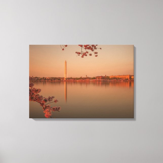 Washington Monument Sakura at sunset. Canvas Print (Front)