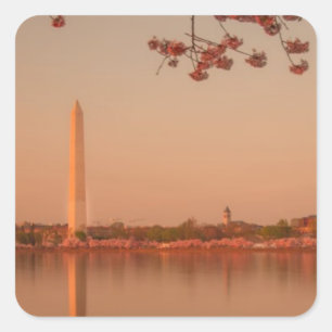 Washington Monument Sakura at sunset. Square Sticker
