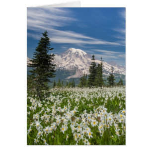 Washington, Mount Rainier National Park 1