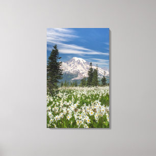 Washington, Mount Rainier National Park 1 Canvas Print