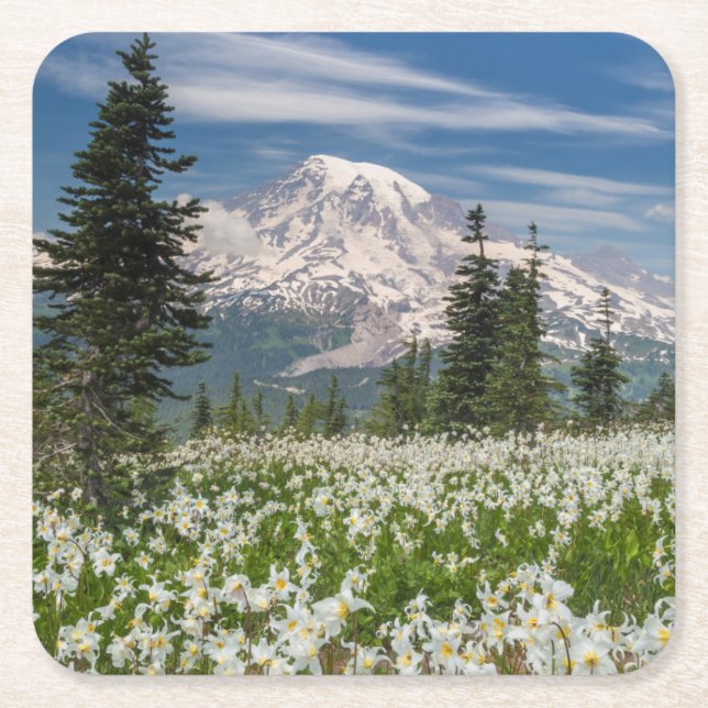 Washington, Mount Rainier National Park 1 Square Paper Coaster (Front)