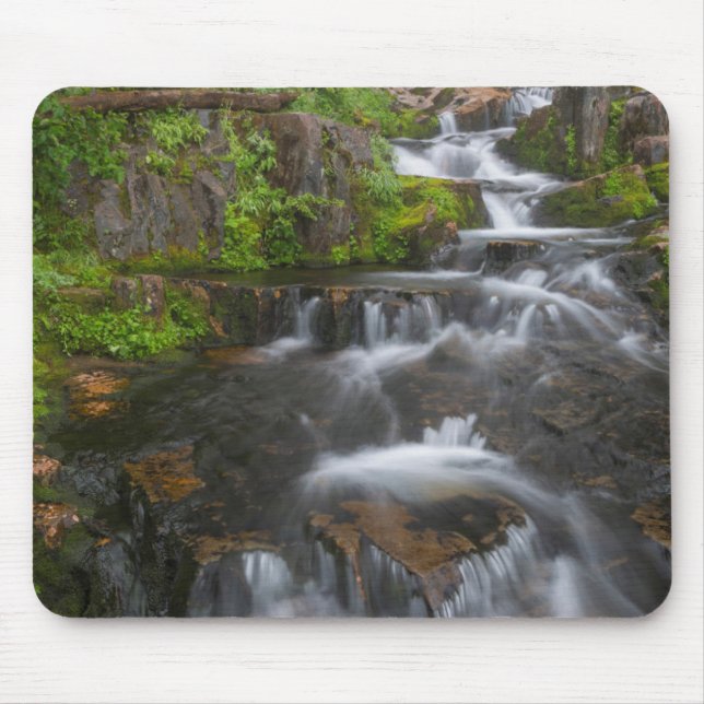 Washington, Mount Rainier National Park 2 Mouse Mat (Front)