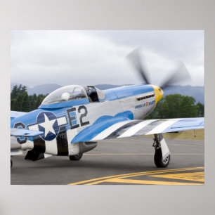 Washington, Olympia,  military airshow. Poster
