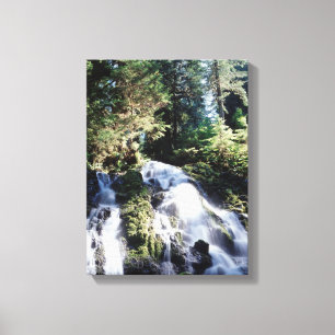 Washington, Olympic National Park, A waterfall Canvas Print