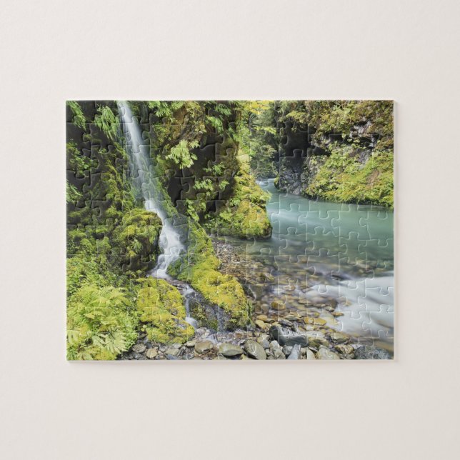 Washington, Olympic National Park, Seasonal Jigsaw Puzzle (Horizontal)