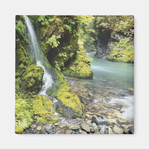 Washington, Olympic National Park, Seasonal Magnet