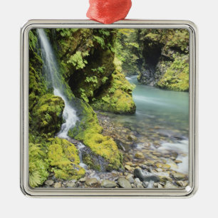 Washington, Olympic National Park, Seasonal Metal Tree Decoration
