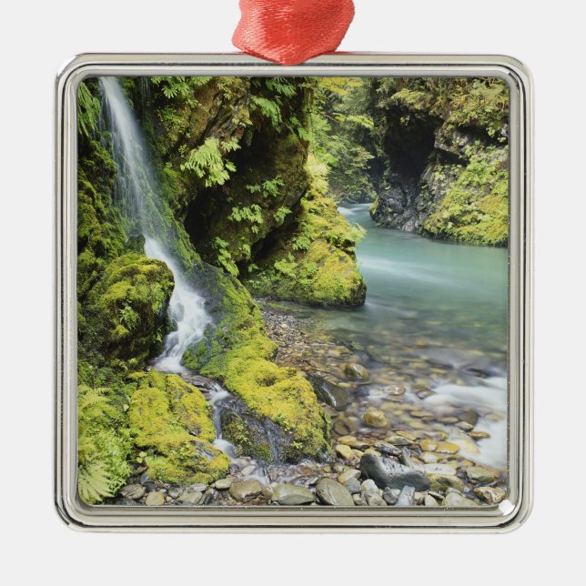 Washington, Olympic National Park, Seasonal Metal Tree Decoration (Front)