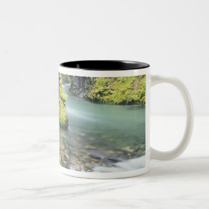Washington, Olympic National Park, Seasonal Two-Tone Coffee Mug