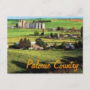 Washington Palouse Postcard