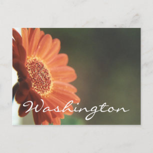 Washington Postcard Orange Flower Template