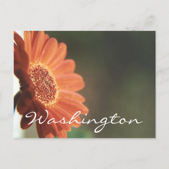Washington Postcard Orange Flower Template (Front)
