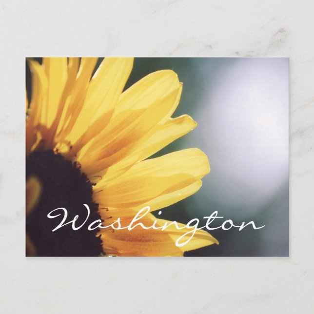 Washington Postcard Sunflower Template (Front)