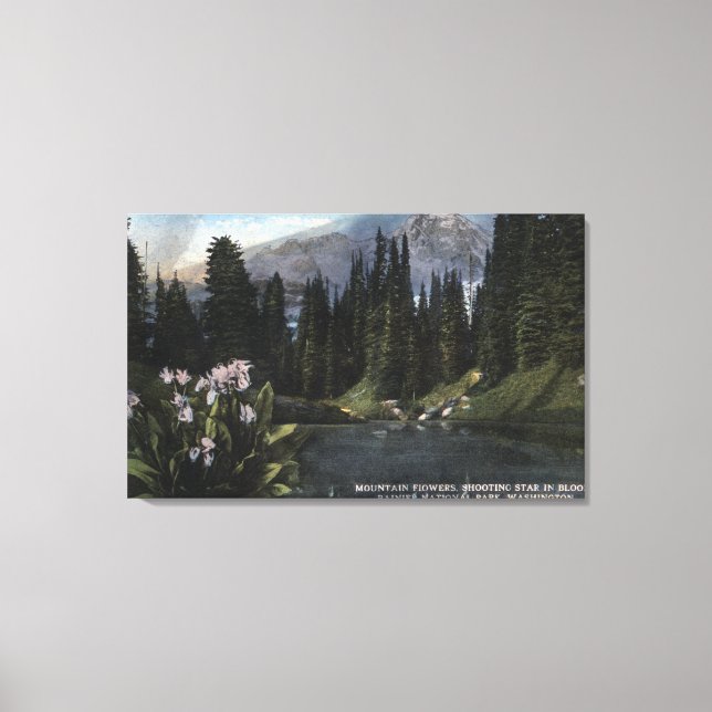 Washington - Rainier National Park, Shooting Sta Canvas Print (Front)