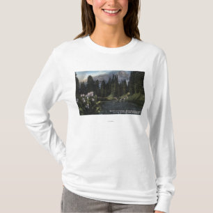 Washington - Rainier National Park, Shooting Sta T-Shirt