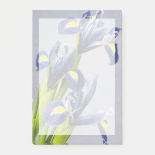 Washington, Redmond, Purple Irises Post-it Notes