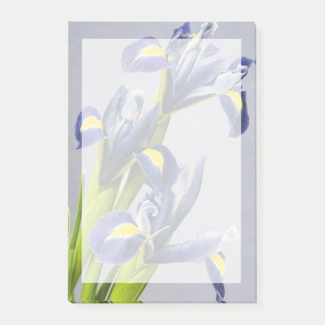 Washington, Redmond, Purple Irises Post-it Notes (Front)