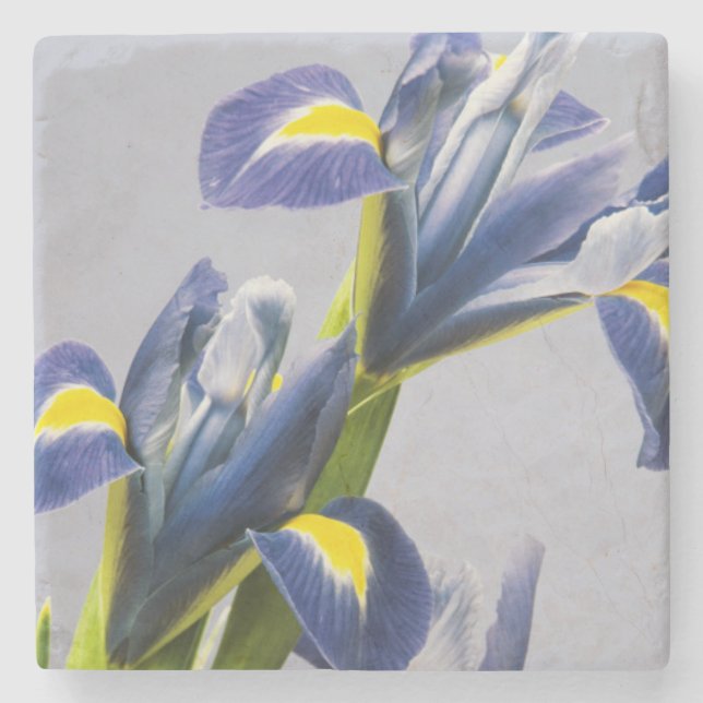 Washington, Redmond, Purple Irises Stone Coaster (Front)