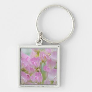 Washington, Seabeck. Detail of sweet pea Key Ring