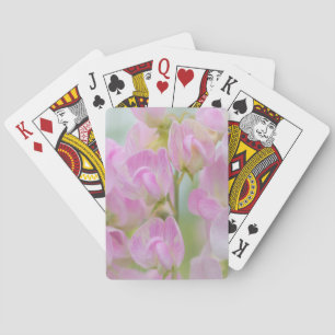 Washington, Seabeck. Detail of sweet pea Playing Cards
