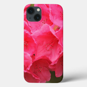 Washington, Seattle, Puget Sound, Discovery Park iPhone 13 Case