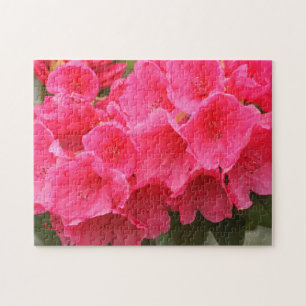 Washington, Seattle, Puget Sound, Discovery Park Jigsaw Puzzle