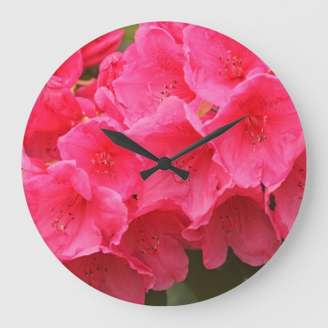 Washington, Seattle, Puget Sound, Discovery Park Large Clock (Front)