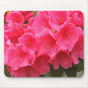 Washington, Seattle, Puget Sound, Discovery Park Mouse Mat