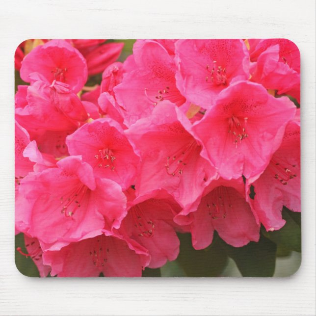 Washington, Seattle, Puget Sound, Discovery Park Mouse Mat (Front)