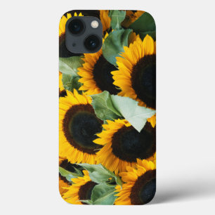 Washington, Seattle, Sunflower for sale pike iPhone 13 Case