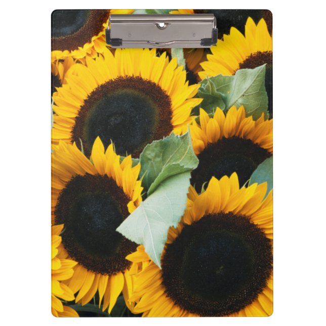 Washington, Seattle, Sunflower for sale pike Clipboard (Front)