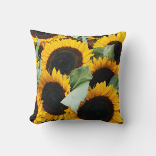 Washington, Seattle, Sunflower for sale pike Cushion