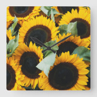 Washington, Seattle, Sunflower for sale pike