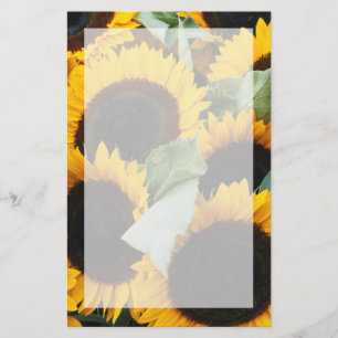 Washington, Seattle, Sunflower for sale pike Stationery