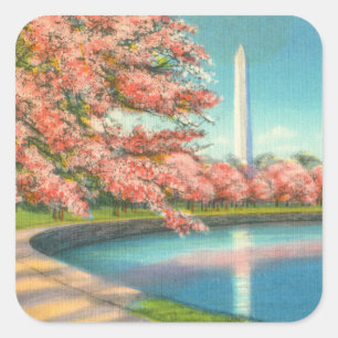Washington Square Sticker
