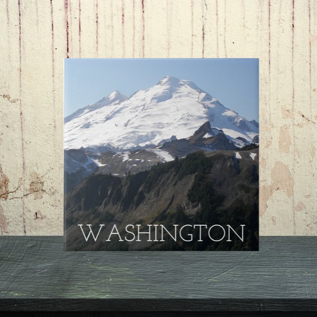Washington State Mount Baker Landscape Tile (In Situ)