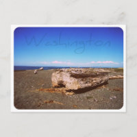 Washington State Seashore: Photograph
