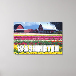Washington State Tulip Field Canvas Print