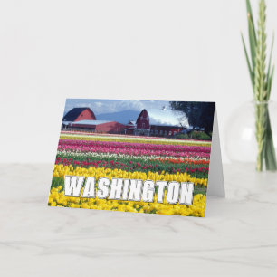 Washington State   Tulip Field   Happy Birthday Card
