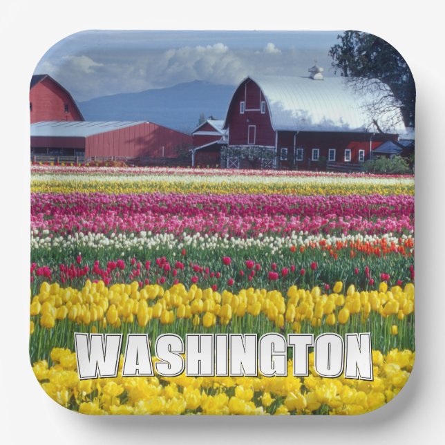 Washington State | Tulip Field Paper Plate (Front)