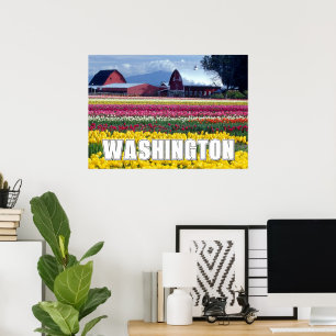 Washington State Tulip Field Poster