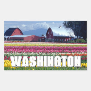 Washington State   Tulip Field Rectangular Sticker