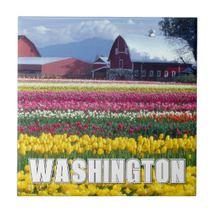 Washington State   Tulip Field Tile