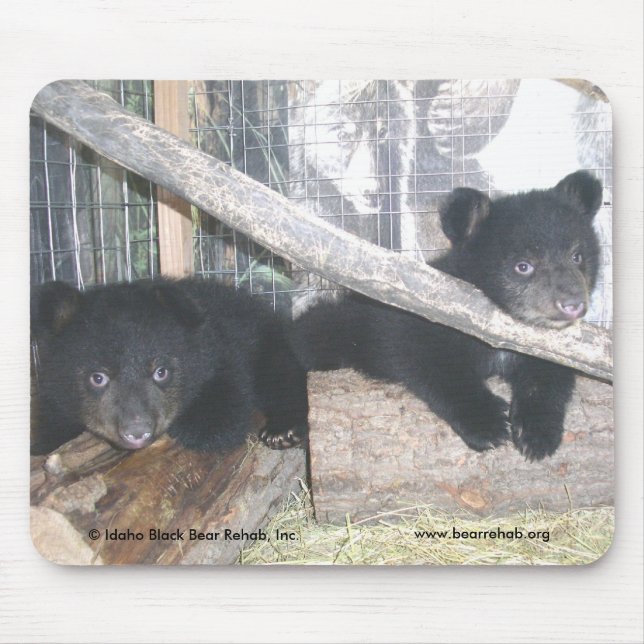 Washington Twins 2009 Mousepad (Front)